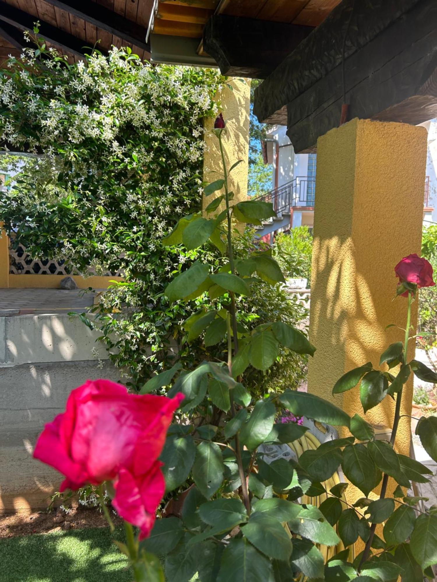 Apartmani Grguric Kornić Dış mekan fotoğraf