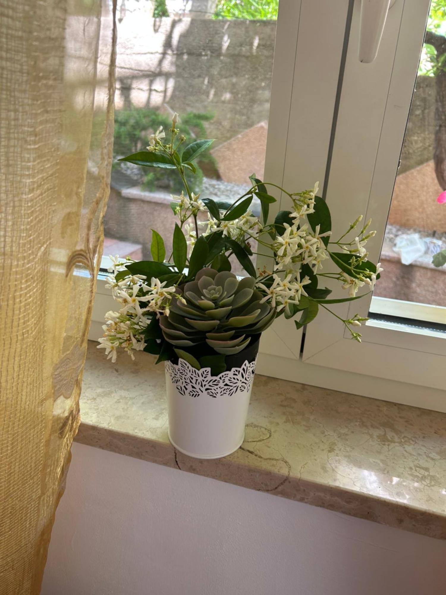 Apartmani Grguric Kornić Dış mekan fotoğraf